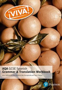 Viva! AQA GCSE Spanish Grammar and Translation Workbook - Tracy Traynor